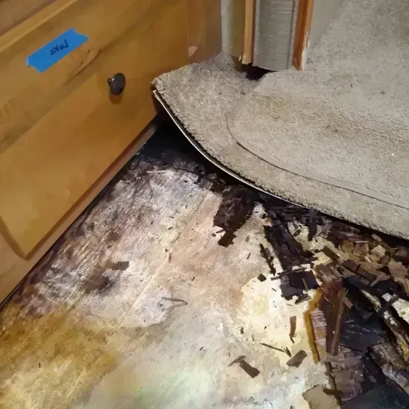 Best Wood Floor Water Damage Service in Marianna, FL